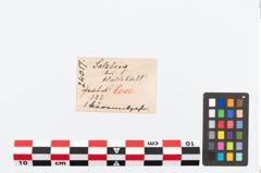 Etikett zu Bärenzahnanhänger (NHMW-PRAE-024017)